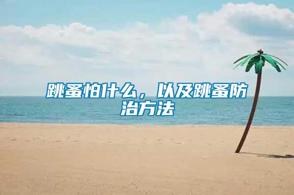 跳蚤怕什么，以及跳蚤防治方法