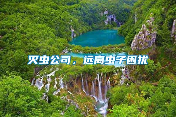 滅蟲公司，遠(yuǎn)離蟲子困擾