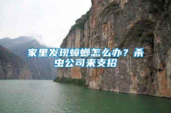 家里發(fā)現(xiàn)蟑螂怎么辦？殺蟲公司來(lái)支招