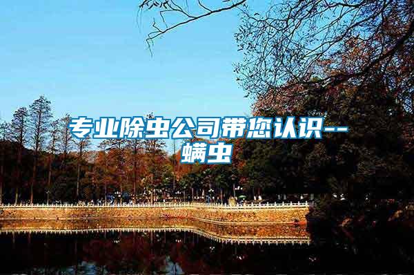 專業(yè)除蟲公司帶您認(rèn)識--螨蟲