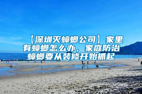 【深圳滅蟑螂公司】家里有蟑螂怎么辦，家庭防治蟑螂要從裝修開始抓起