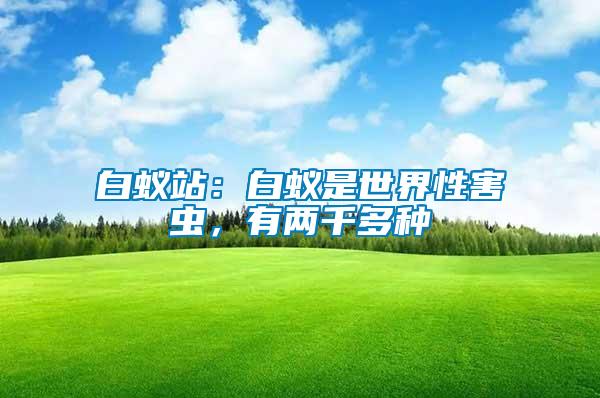 白蟻站：白蟻是世界性害蟲(chóng)，有兩千多種