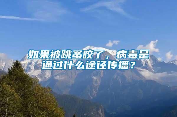 如果被跳蚤咬了，病毒是通過什么途徑傳播？