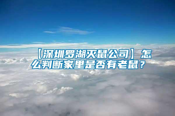 【深圳羅湖滅鼠公司】怎么判斷家里是否有老鼠？