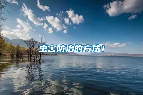蟲害防治的方法！