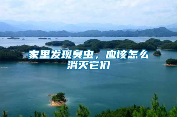 家里發(fā)現(xiàn)臭蟲，應(yīng)該怎么消滅它們