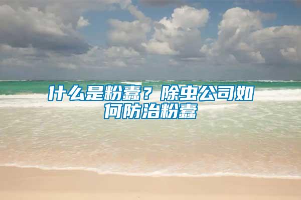 什么是粉蠹？除蟲(chóng)公司如何防治粉蠹