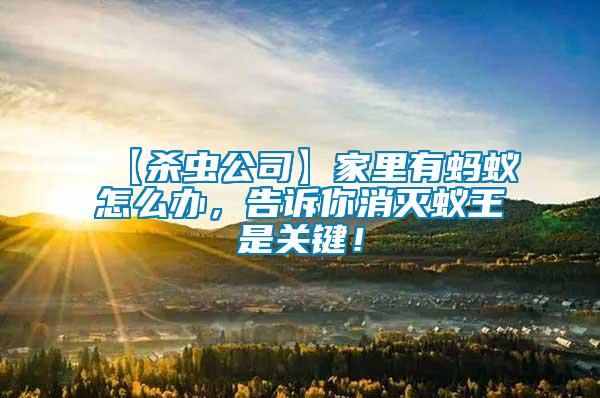【殺蟲公司】家里有螞蟻怎么辦，告訴你消滅蟻王是關(guān)鍵！