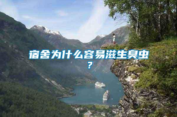宿舍為什么容易滋生臭蟲？