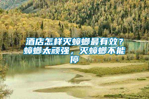 酒店怎樣滅蟑螂最有效？蟑螂太頑強(qiáng)，滅蟑螂不能停