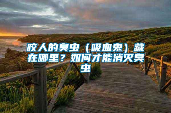 咬人的臭蟲（吸血鬼）藏在哪里？如何才能消滅臭蟲