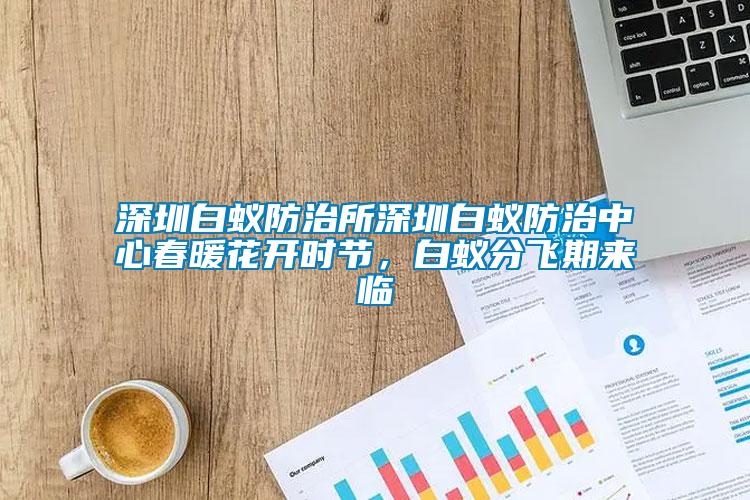 深圳白蟻防治所深圳白蟻防治中心春暖花開時(shí)節(jié)，白蟻分飛期來(lái)臨