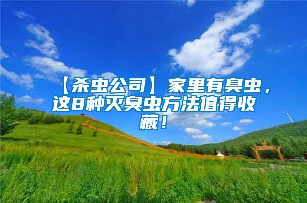 【殺蟲公司】家里有臭蟲，這8種滅臭蟲方法值得收藏！