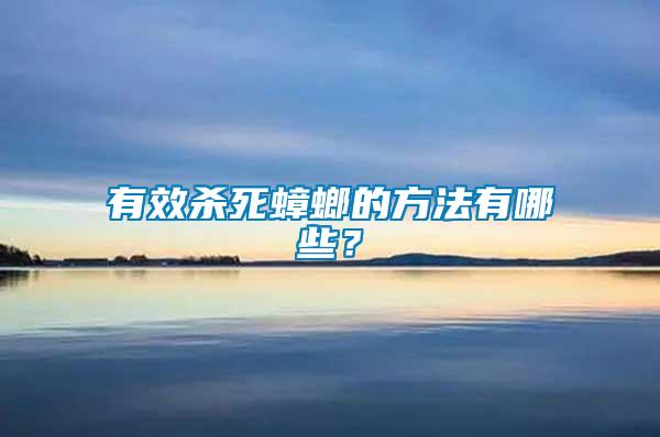 有效殺死蟑螂的方法有哪些？