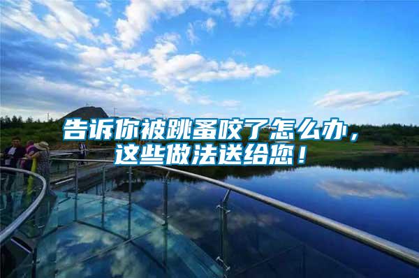 告訴你被跳蚤咬了怎么辦，這些做法送給您！