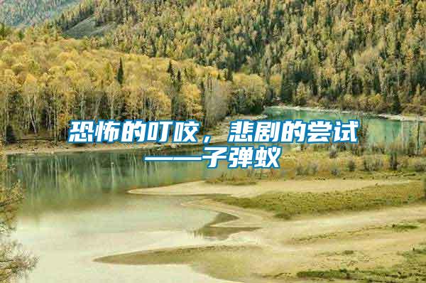 恐怖的叮咬，悲劇的嘗試——子彈蟻