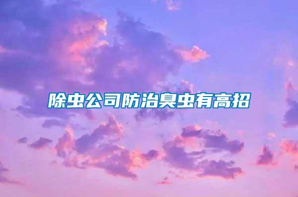 除蟲(chóng)公司防治臭蟲(chóng)有高招