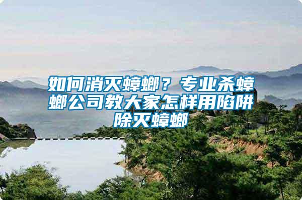 如何消滅蟑螂？專業(yè)殺蟑螂公司教大家怎樣用陷阱除滅蟑螂