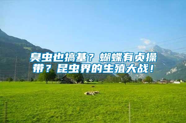 臭蟲也搞基？蝴蝶有貞操帶？昆蟲界的生殖大戰(zhàn)！