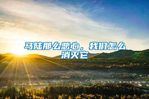馬陸那么惡心，我們?cè)趺聪麥缢?/></p>
             <p style=
