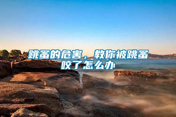 跳蚤的危害，教你被跳蚤咬了怎么辦