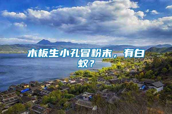 木板生小孔冒粉末，有白蟻？