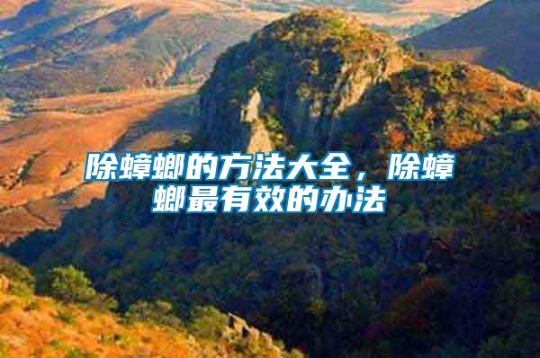 除蟑螂的方法大全，除蟑螂最有效的辦法