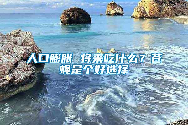 人口膨脹 將來吃什么？蒼蠅是個(gè)好選擇