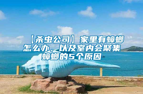 【殺蟲公司】家里有蟑螂怎么辦，以及室內(nèi)會(huì)聚集蟑螂的5個(gè)原因