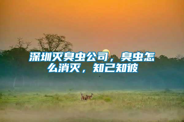 深圳滅臭蟲公司，臭蟲怎么消滅，知己知彼