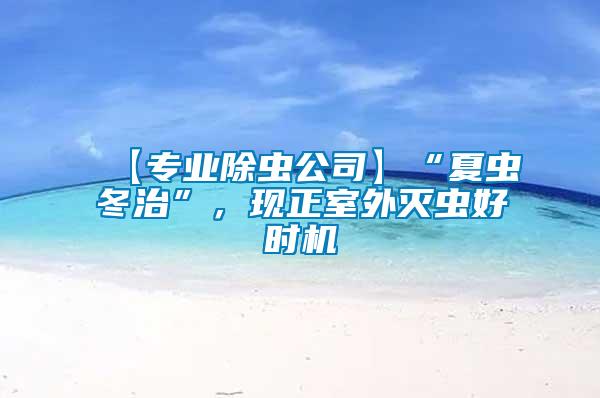 【專業(yè)除蟲(chóng)公司】“夏蟲(chóng)冬治”，現(xiàn)正室外滅蟲(chóng)好時(shí)機(jī)