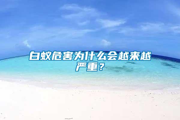 白蟻危害為什么會越來越嚴(yán)重？