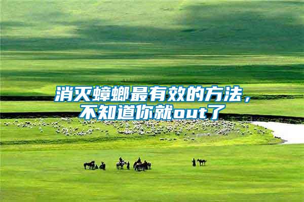 消滅蟑螂最有效的方法，不知道你就out了