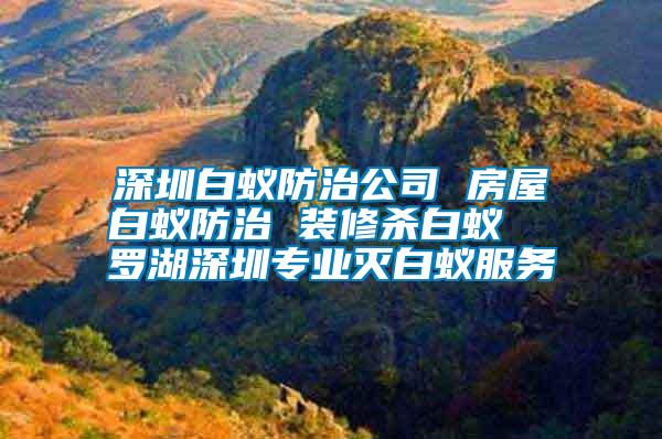 深圳白蟻防治公司 房屋白蟻防治 裝修殺白蟻  羅湖深圳專(zhuān)業(yè)滅白蟻服務(wù)