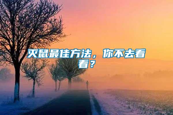 滅鼠最佳方法，你不去看看？