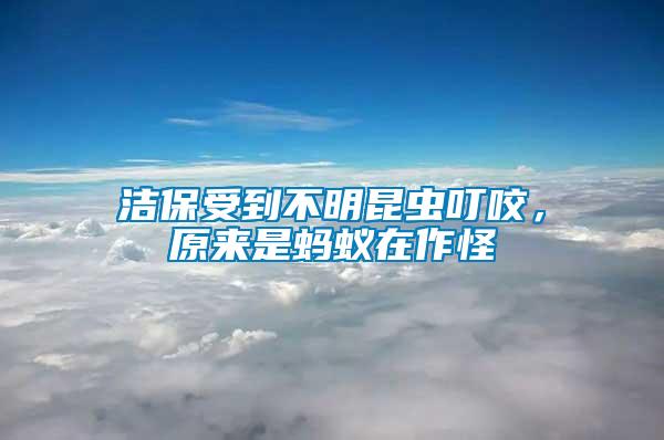 潔保受到不明昆蟲叮咬，原來是螞蟻在作怪