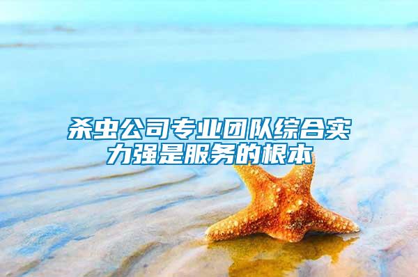 殺蟲(chóng)公司專(zhuān)業(yè)團(tuán)隊(duì)綜合實(shí)力強(qiáng)是服務(wù)的根本