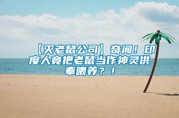 【滅老鼠公司】奇聞！印度人竟把老鼠當(dāng)作神靈供奉喂養(yǎng)？！