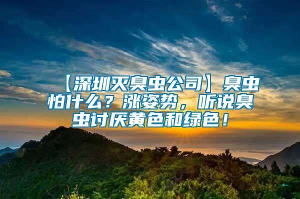 【深圳滅臭蟲公司】臭蟲怕什么？漲姿勢，聽說臭蟲討厭黃色和綠色！