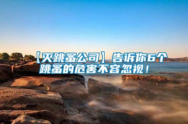 【滅跳蚤公司】告訴你6個跳蚤的危害不容忽視！