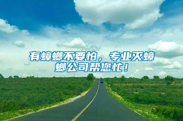 有蟑螂不要怕，專業(yè)滅蟑螂公司幫您忙！