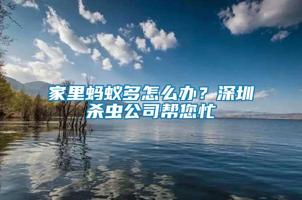 家里螞蟻多怎么辦？深圳殺蟲公司幫您忙