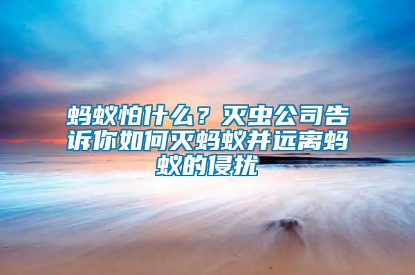 螞蟻怕什么？滅蟲公司告訴你如何滅螞蟻并遠(yuǎn)離螞蟻的侵?jǐn)_