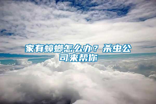 家有蟑螂怎么辦？殺蟲公司來幫你