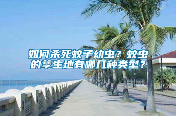 如何殺死蚊子幼蟲？蚊蟲的孳生地有哪幾種類型？