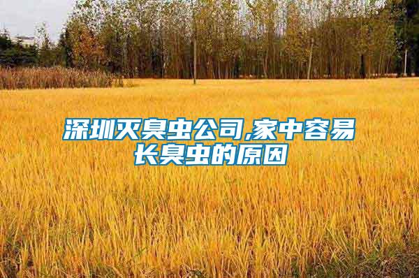 深圳滅臭蟲公司,家中容易長(zhǎng)臭蟲的原因