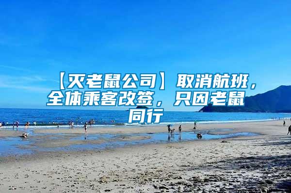 【滅老鼠公司】取消航班，全體乘客改簽，只因老鼠同行