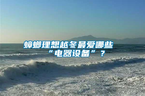 蟑螂理想越冬最愛哪些“電器設(shè)備”？