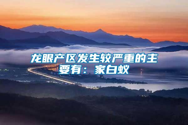 龍眼產(chǎn)區(qū)發(fā)生較嚴重的主要有：家白蟻