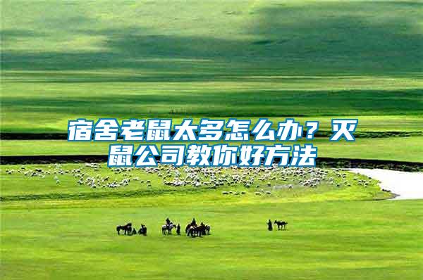 宿舍老鼠太多怎么辦？滅鼠公司教你好方法